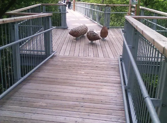 Ferienwohnung-stricker-typ-a-balkon-2-3 Apartamento Walkenried