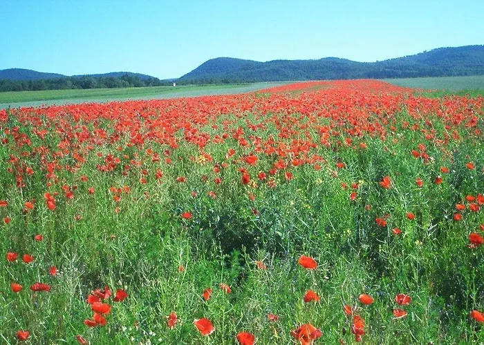 Ferienwohnung-stricker-typ-a-balkon-2-3 Apartamento Walkenried